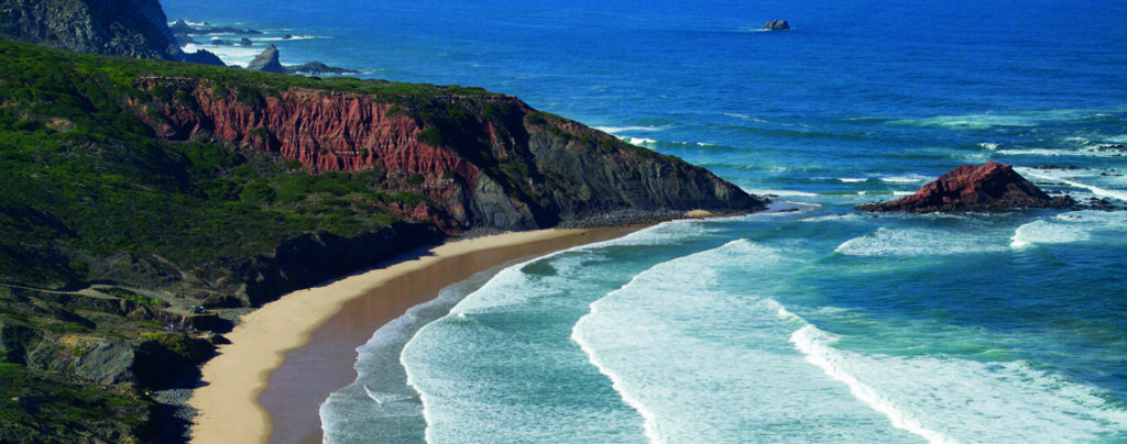 Take a walk on the wild side