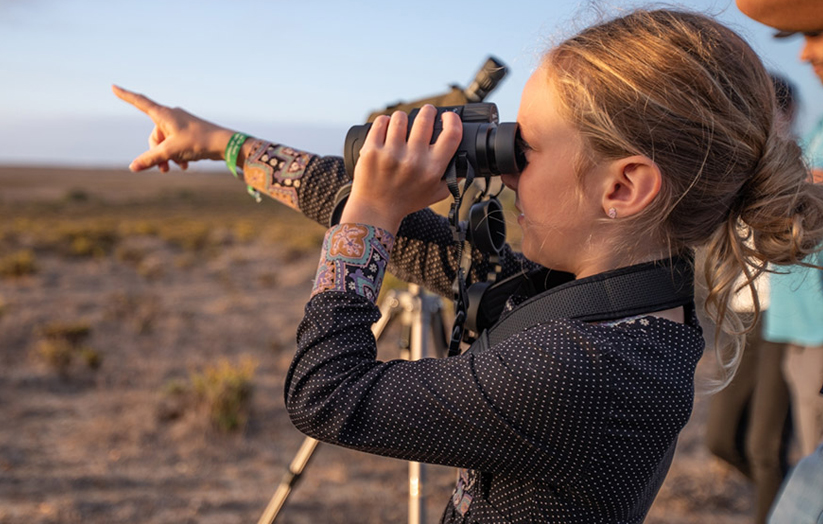 Birdwatching festival returns to Sagres in October