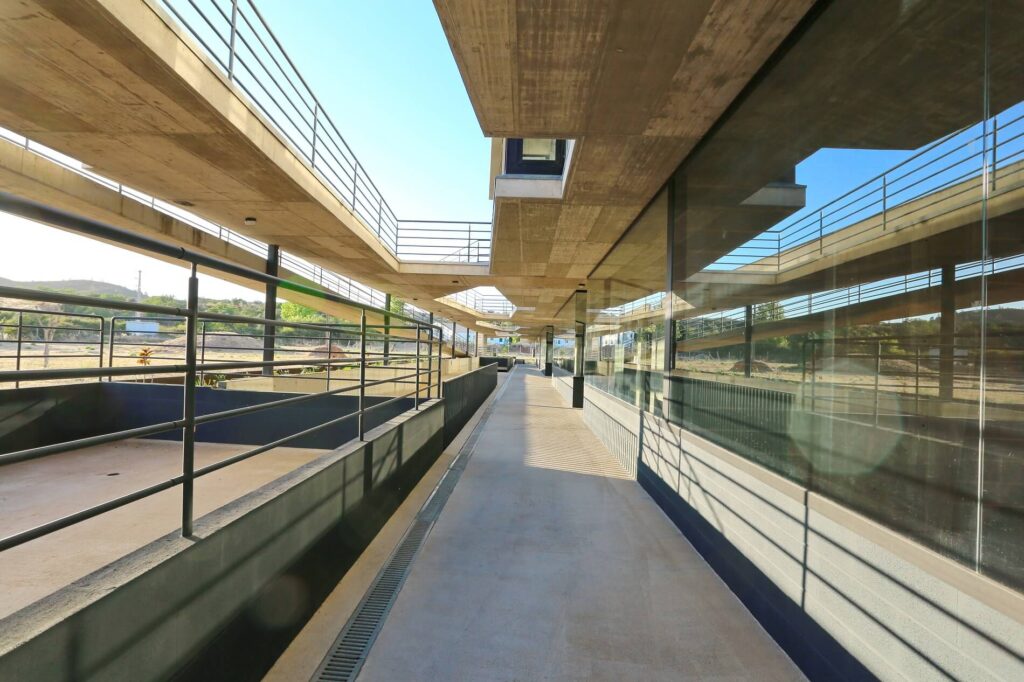 Contemporary Development in Silves