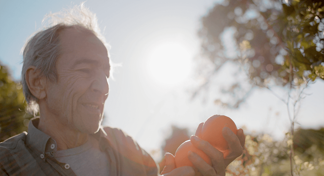 Short Film About Organic Oranges Wins Impact DOCS Award