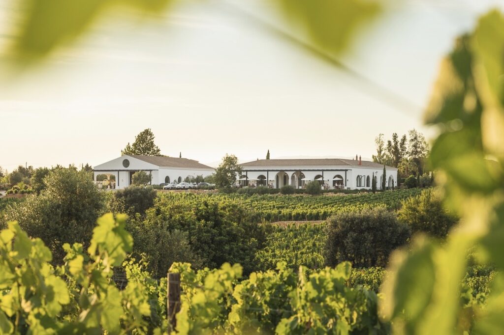 Revisiting the hidden treasures and new flavours of Quinta dos Santos