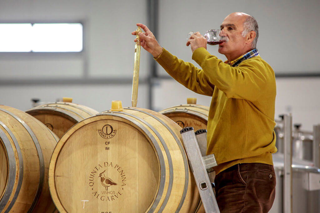 Historical Quinta da Palmeirinha in the Algarve has deep roots that date back to the 8th century BC