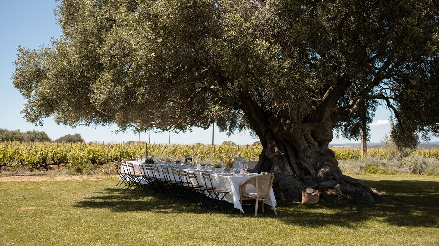 Grab your tickets for October’s Lagoa Wine Experiences